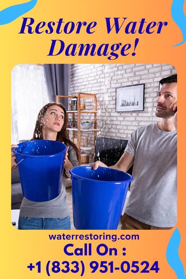 water restoration Apex Disaster Cleanup Masters St. Clair Shores